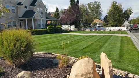 Find the Best Yard Maintenance Near Me Today: A Complete Guide